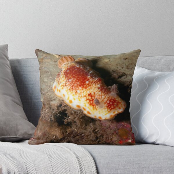 Aperçu de l'œuvre Nudibranch- HMAS Perth créée et vendue par Jamie Kiddle.