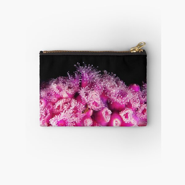 Item preview, Jewel Anemone's- HMAS Perth designed and sold by Jamie Kiddle.