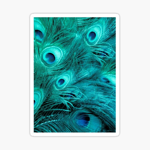 All Eyes Are Blue Sticker