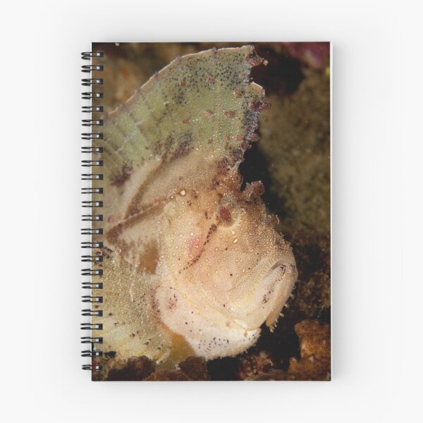 Artikelvorschau, White Leaf Scorpionfish entworfen und verkauft von Jamie Kiddle.