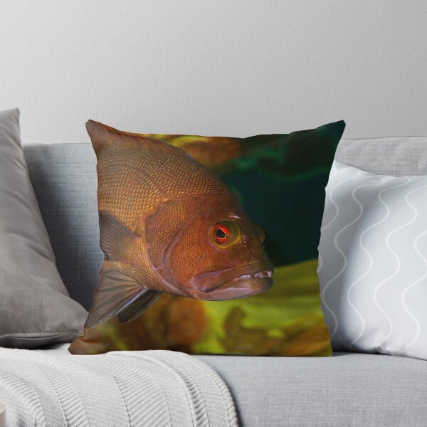 Item preview, Breaksea Cod Portrait designed and sold by Jamie Kiddle.