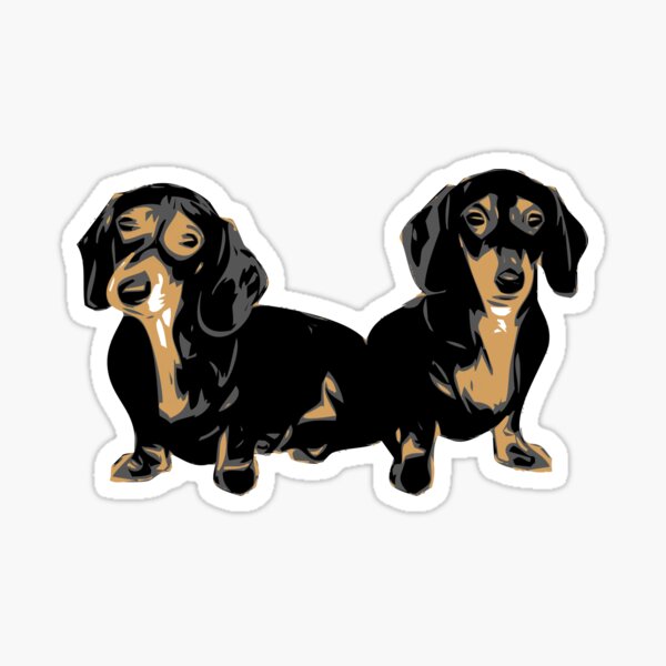 Two Dachshund Puppies Colour Vector Sticker