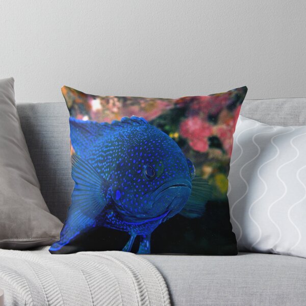Item preview,  Albany Australia Occidental. designed and sold by Jamie Kiddle.