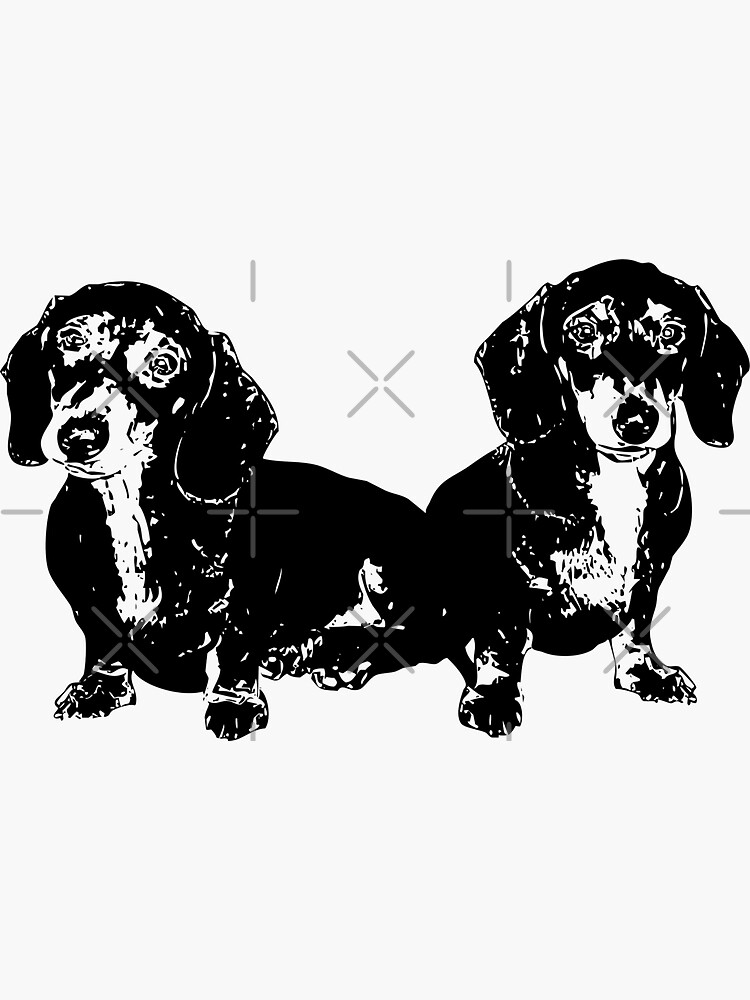Two Dachshund Puppies by tribbledesign