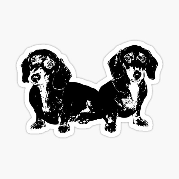 Two Dachshund Puppies Sticker