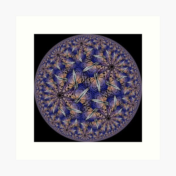 Butterfly Art Print
