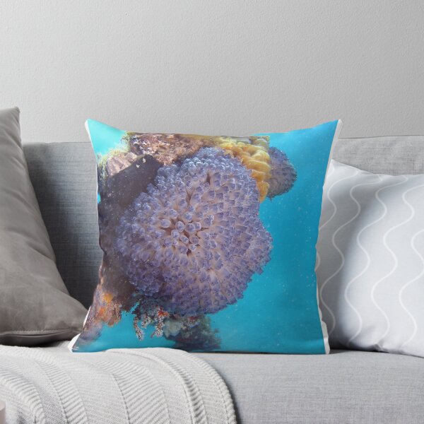 Item preview, Ascidians designed and sold by Jamie Kiddle.