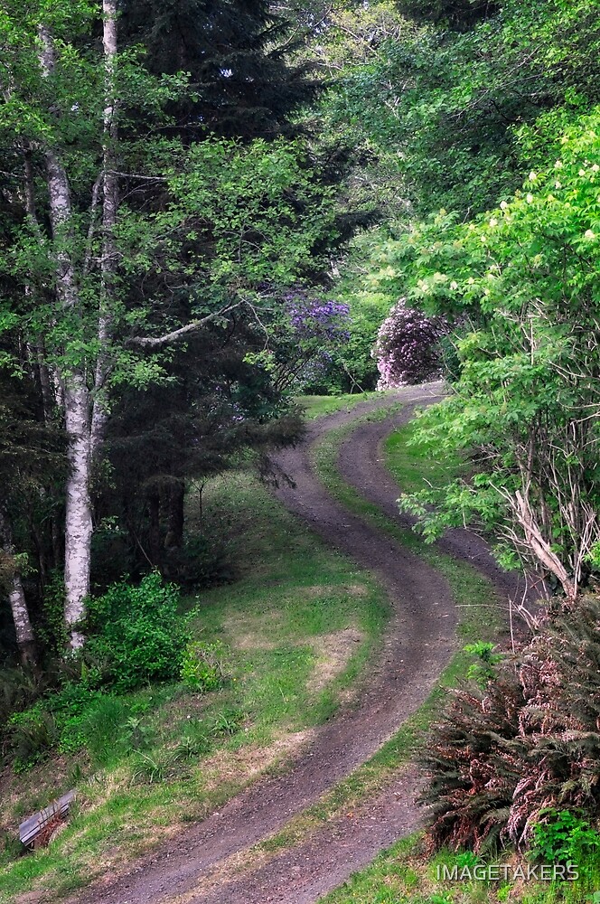 "Yachats Oregon Road to the Unknown" by IMAGETAKERS Redbubble