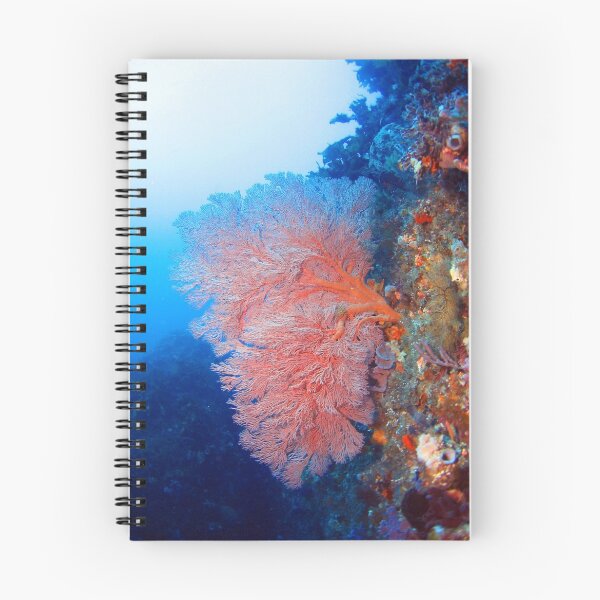 Item preview, Fan Coral designed and sold by Jamie Kiddle.
