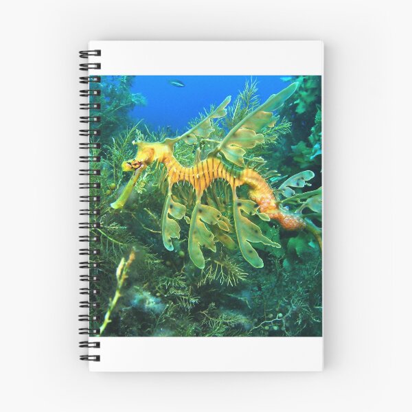 Item preview, Seadragon frondoso designed and sold by Jamie Kiddle.