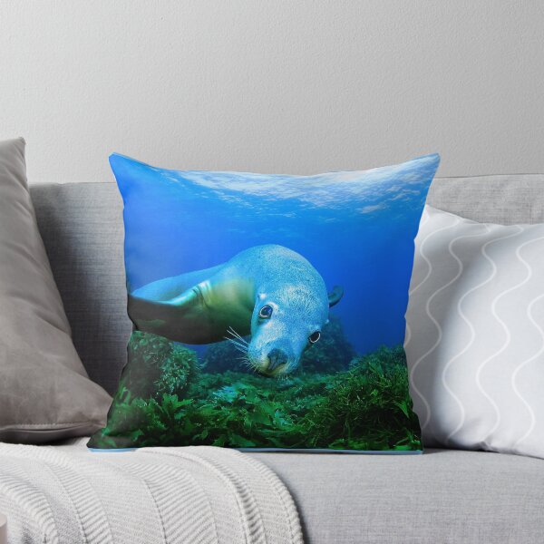 Aperçu de l'œuvre Playful Sealion créée et vendue par Jamie Kiddle.