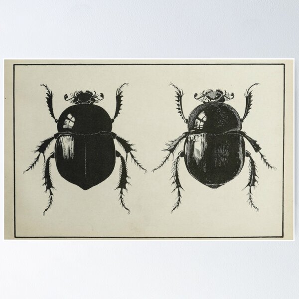 Item preview, Antiquarian Black Beetles designed and sold by BlueSpecsStudio.