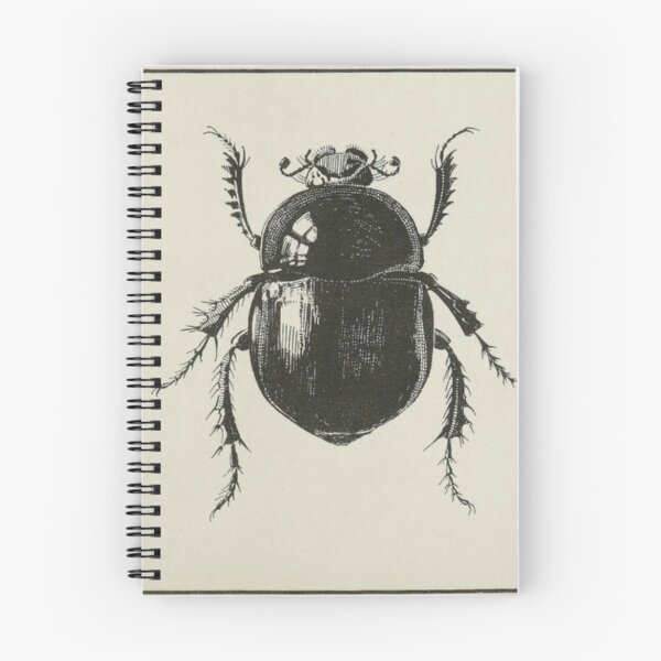 Item preview, Antiquarian Black Beetles designed and sold by BlueSpecsStudio.