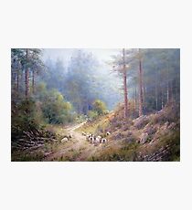 West Wood, Northumberland Photographic Print