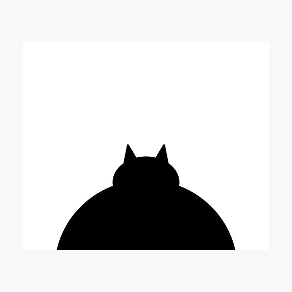 Fat Black Cat Photographic Print