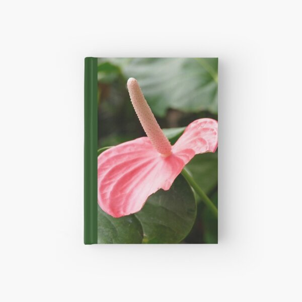 Item preview, Pink Anthurium designed and sold by jaynerushton.