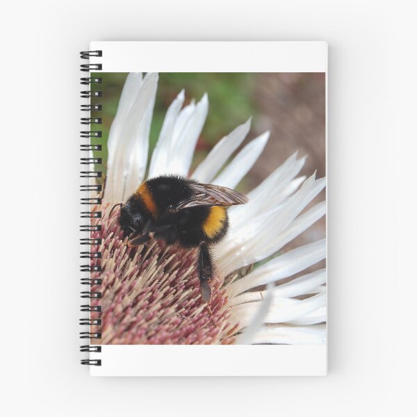 Aperçu de l'œuvre ailes de la nature créée et vendue par nitelite.