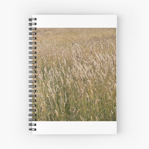 Item preview, Sun bleached long grass designed and sold by Rod Raglin.