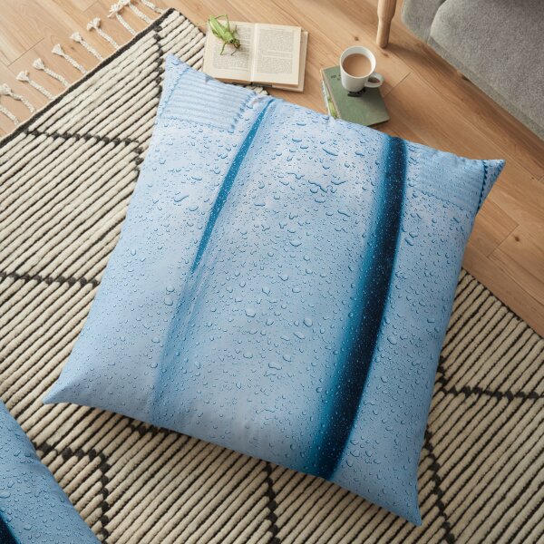 Details of Legends: Jaguar E-Type Floor Pillow