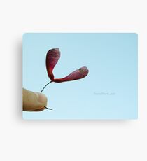 Two Is Better Than One. Canvas Print