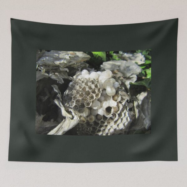 Item preview, Architectural Brilliance In The Natural World - Wasps Nest designed and sold by lezvee.
