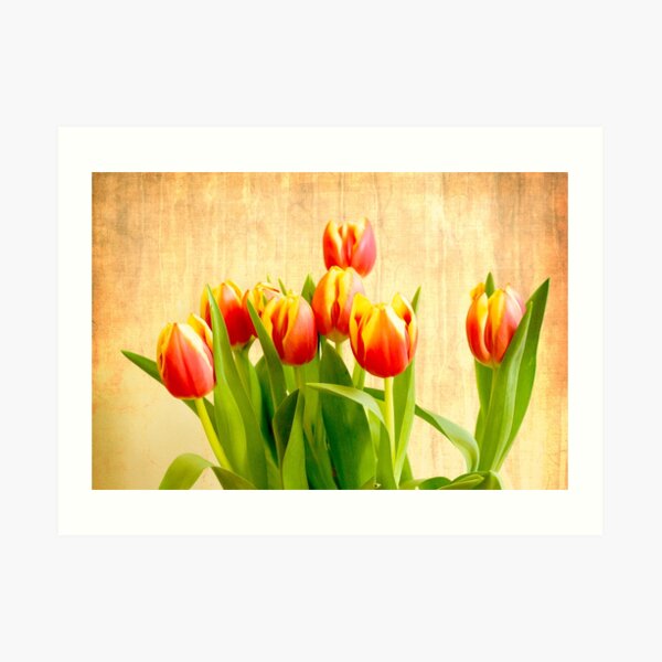 Tulips Art Print
