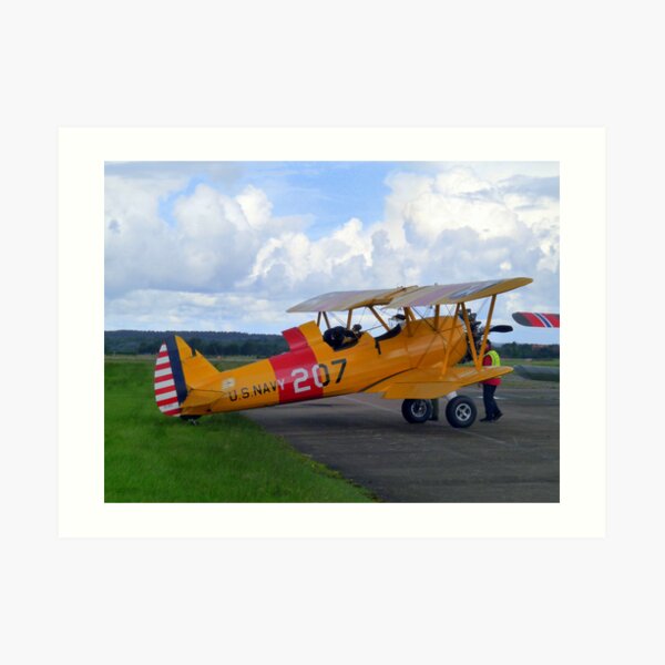 A Tiger Moth Still on the Ground Art Print