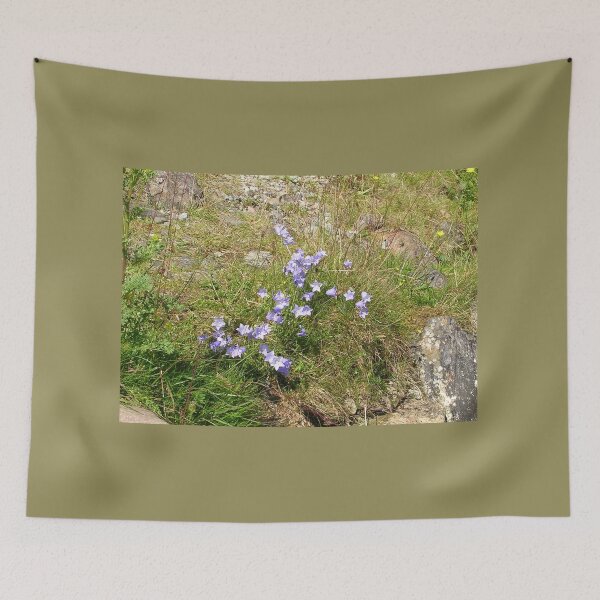 Item preview, Campanula rotundifolia (Harebells) In Glencoe, Scotland designed and sold by lezvee.