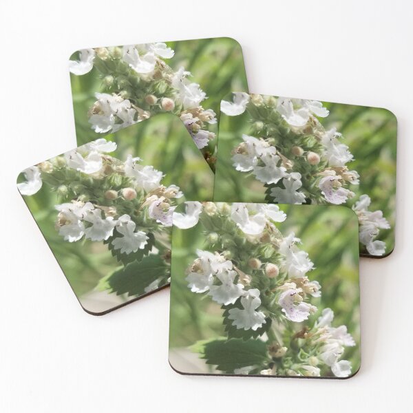 Item preview, Cat Mint Flower designed and sold by MooseDogPhotos.