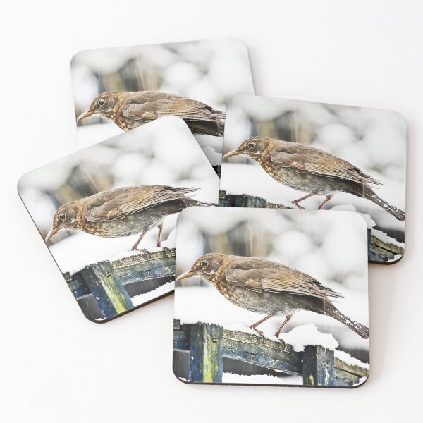 Item preview,   Female Blackbird In The Snow designed and sold by Terri Waters Photography & Design.
