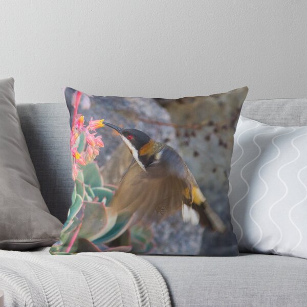 Item preview, Lunch on the Wing designed and sold by Teale Britstra.