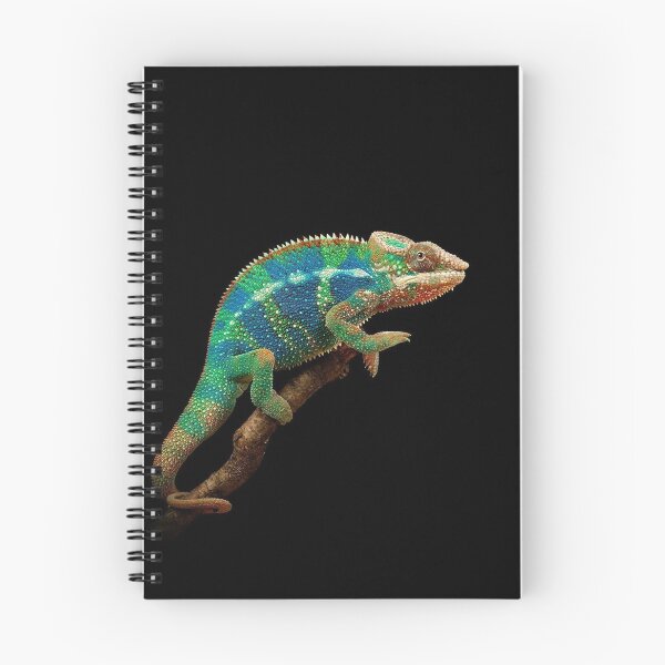 Item preview, CAMALEON designed and sold by MiSofi.
