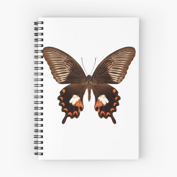 Item preview, Butterfly species papilio polytes mandane "Common Mormon" designed and sold by paulrommer.