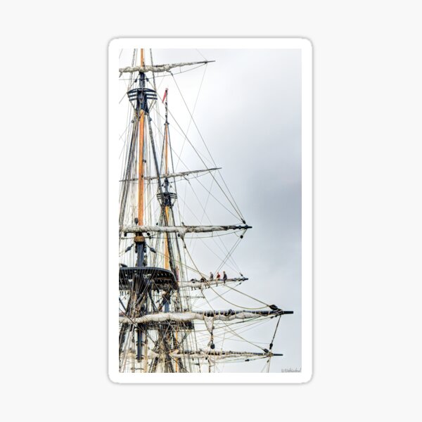 Hermione Frigate Rigging Sticker