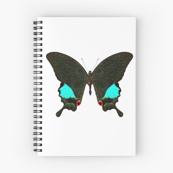 Item preview, Butterfly species Papilio Karna Karna designed and sold by paulrommer.