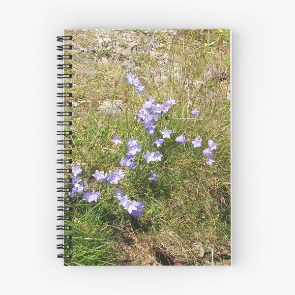 Item preview, Campanula rotundifolia (Harebells) In Glencoe, Scotland designed and sold by lezvee.