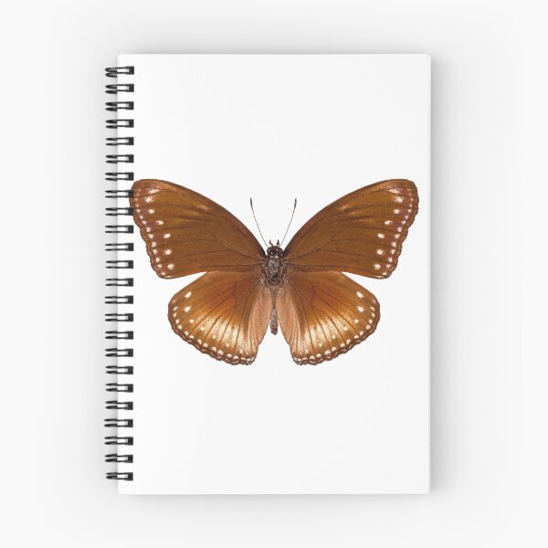 Item preview, butterfly species Hypolimnas anomala wallaceana designed and sold by paulrommer.