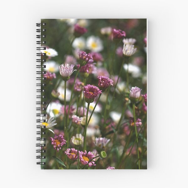 Item preview, Everlasting Daisies designed and sold by Joy Watson - Natural Light Photography .