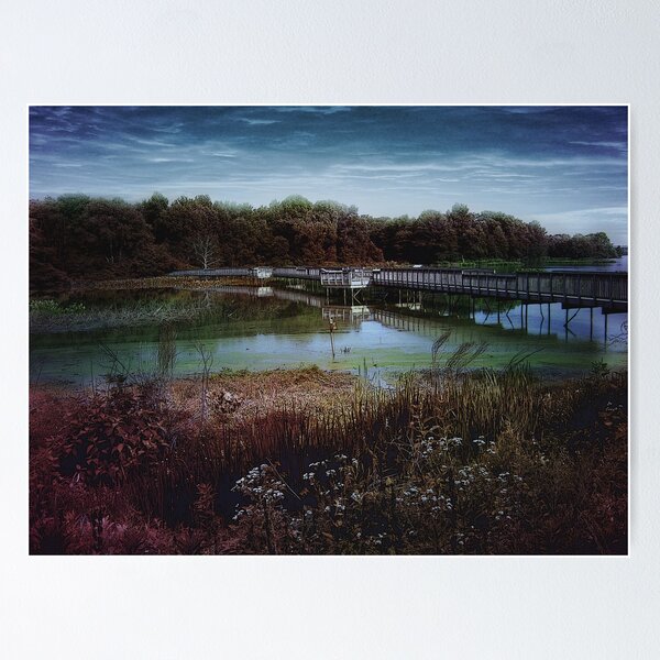 Item preview, Swamp Bridge designed and sold by Judi Taylor.