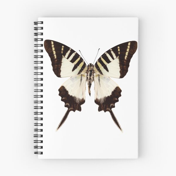 Item preview, Butterfly species graphium decolor atratus designed and sold by paulrommer.