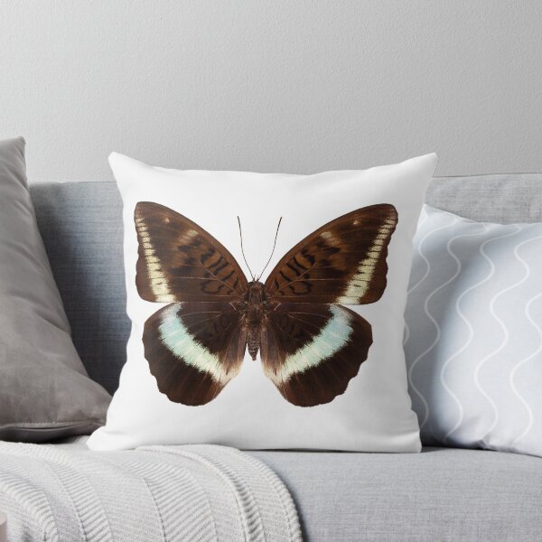 Item preview, brown Nymphalidae butterfly designed and sold by paulrommer.