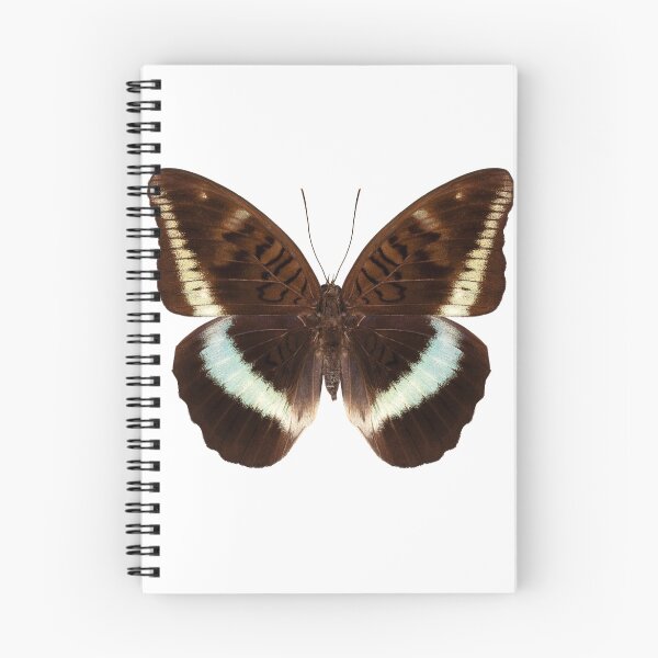 Item preview, brown Nymphalidae butterfly designed and sold by paulrommer.
