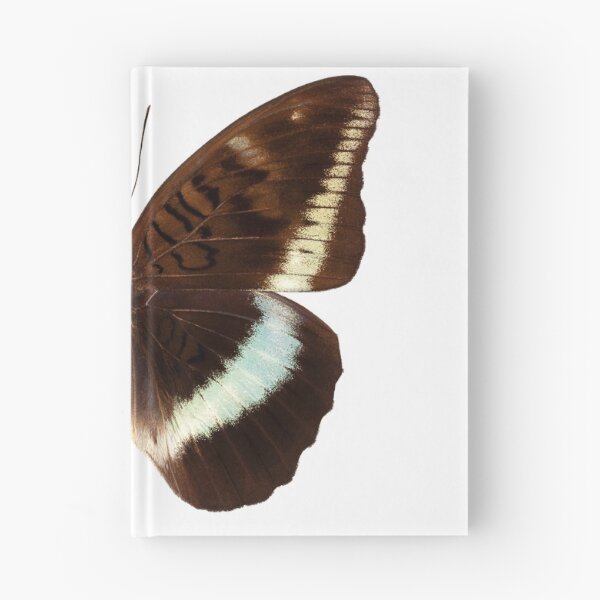 Item preview, brown Nymphalidae butterfly designed and sold by paulrommer.