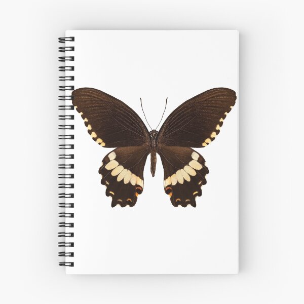 Item preview, brown papilio butterfly designed and sold by paulrommer.