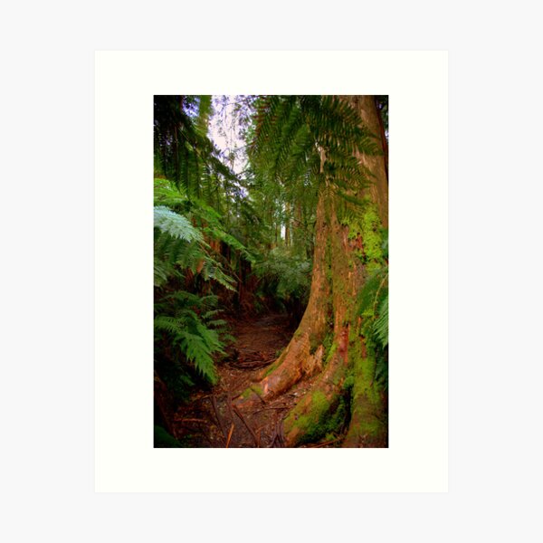 Item preview, Walking trail designed and sold by Gavin Poh.