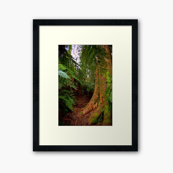 Item preview, Walking trail designed and sold by Gavin Poh.