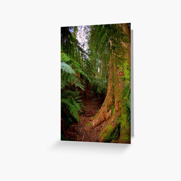 Item preview, Walking trail designed and sold by Gavin Poh.