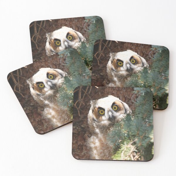 Item preview, Inquisitive Owlet designed and sold by Alyce Taylor.