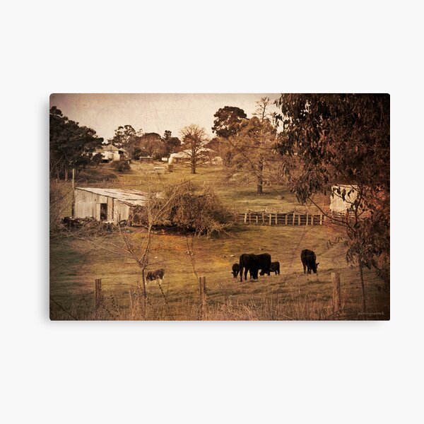 Rural Scene Canvas Print