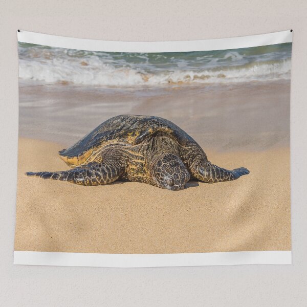 Item preview, Green Sea Turtle 3 designed and sold by LilLizphoto.